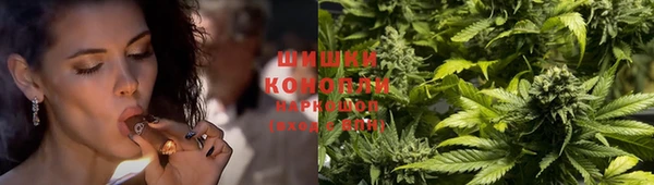 тгк Болхов
