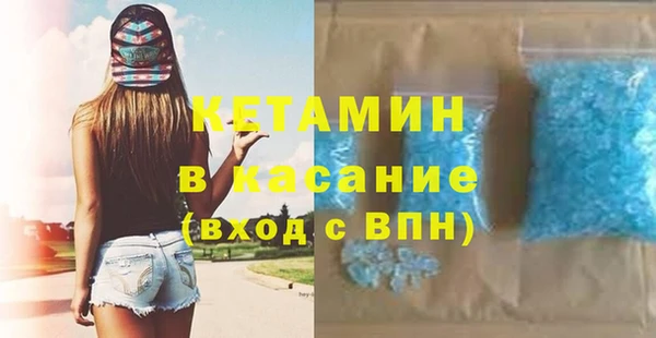 гидра Болотное