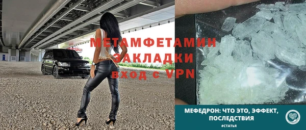 гидра Болотное